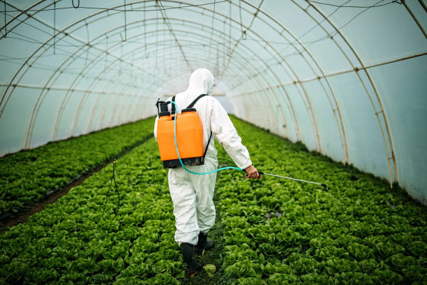 Best Pest Removal Services  in Redwood Falls, MN