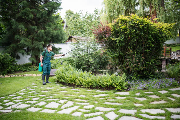 Best Residential Pest Control  in Redwood Falls, MN