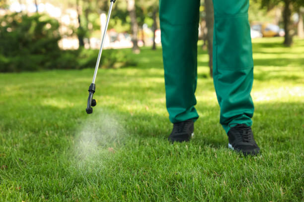 Best Wasp Removal Services  in Redwood Falls, MN