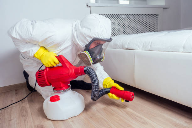 Best Wasp Removal Services  in Redwood Falls, MN