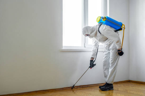 Best Pest Inspection Near Me  in Redwood Falls, MN