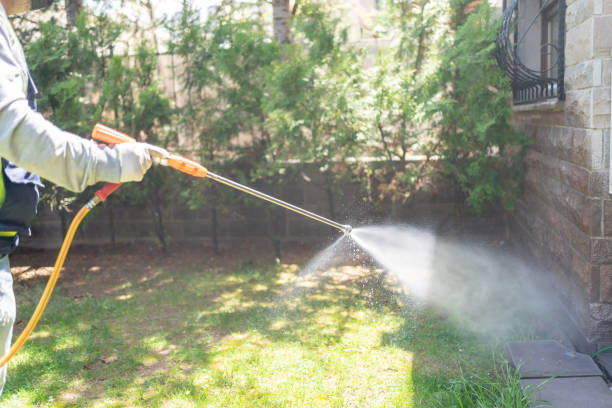 Best Termite Control Services  in Redwood Falls, MN