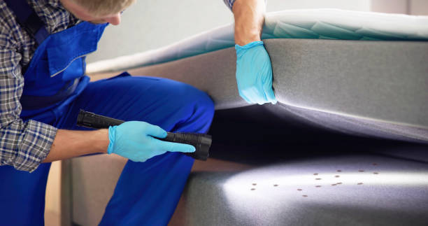 Best Commercial Pest Control Services  in Redwood Falls, MN
