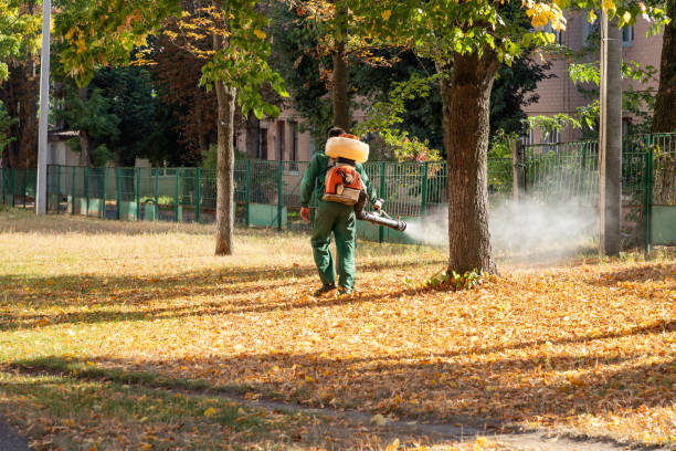 Best Residential Pest Control  in Redwood Falls, MN