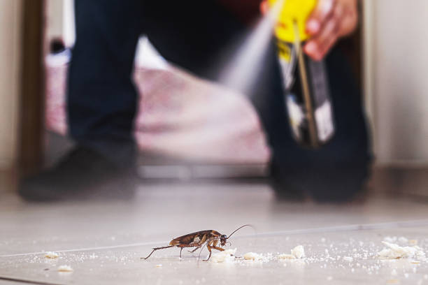 Professional Pest Control in Redwood Falls, MN