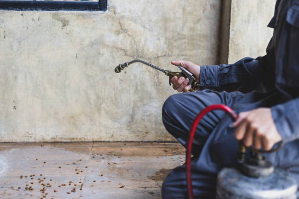 Best Pest Control for Homes  in Redwood Falls, MN