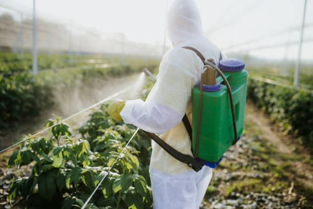 Best Local Pest Control Services  in Redwood Falls, MN